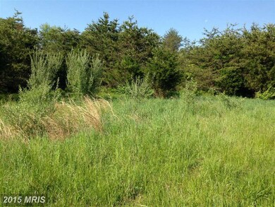 0 Bass Ln unit 1003002310, Winchester, VA 22603 - photo 5