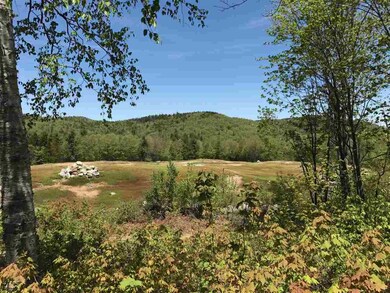 0 Willis Bean unit 4644440, Eaton, NH 03832 - photo 5