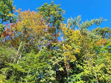 00 Long Ridge Rd unit Lot 2 AKA Lot 22, Sanbornville, NH 03872 - photo 2