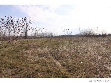 Land/Lot