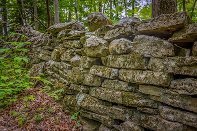 0 Mossy Hill Rd unit KEY862648, Catskill, NY 12414 - photo 5