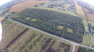 Lot 2 Old Telegraph Rd, Chesapeake City, MD 21915 - photo 2