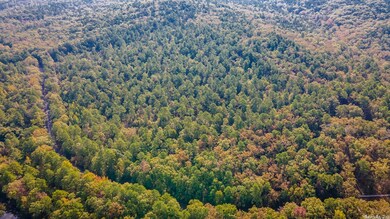 0 Garrison Rd W unit 22020890, Little Rock, AR 72223 - photo 6