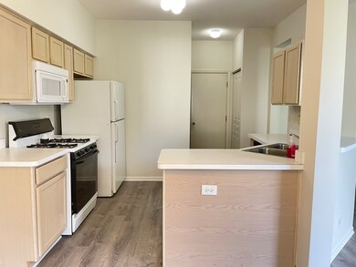 1535 Spaulding Rd unit 463, Bartlett, IL 60103 - photo 6