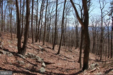 0 Back Rd unit VASH2003604, Toms Brook, VA 22660 - photo 2