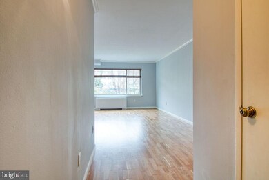 Cleveland Terrace Condominiums unit 207, Washington, DC 20008 - photo 5