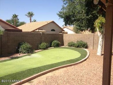 Hackamore 260