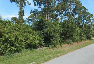 2367 SW Ludlow St, Port Saint Lucie, FL 34953 - photo 4