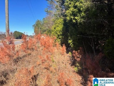 00 Alabama 77, Talladega, AL 35160 - photo 5