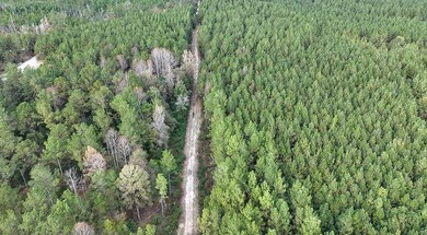 unlisted-address, Mize, MS 39116 - photo 3