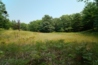 0 Herkelrath Rd unit 21100482, Onekama, MI 49675 - photo 7