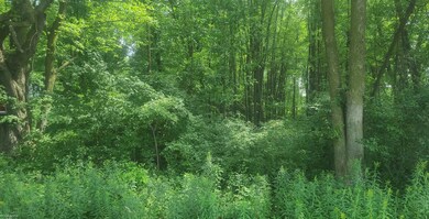 00 Sherridan Rd, Emmett, MI 48022 - photo 4