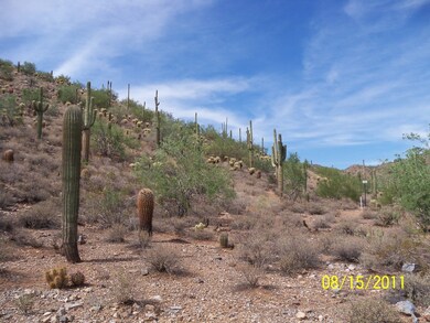 Lot View 2