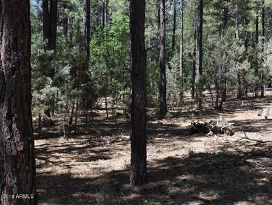 005_.46 of an Acre