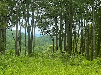 Mountain views