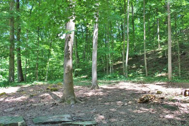 467 Harmony Ln, Burnside, KY 42519 - photo 4