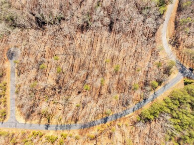 110 Gabriel Way, Pickens, SC 29671 - photo 5