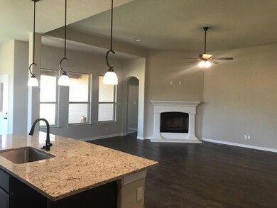 1236 County Road 4797, Boyd, TX 76023 - photo 6