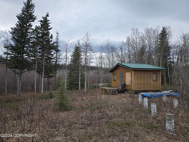 Cabin and foundation