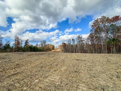 0 Firetower Rd unit 1, Centerville, TN 37033 - photo 7