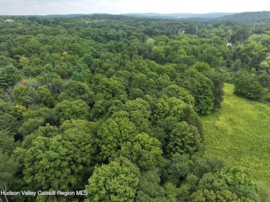 Tbd Deer Run Rd(off Spring Lake Rd, Red Hook, NY 12571 - photo 7