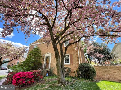 5364 Echols Ave, Alexandria, VA 22311 - photo 7