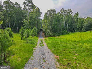 0 Orchard Ln unit 10579458, Talking Rock, GA 30175 - photo 4