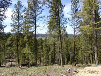 Wooded