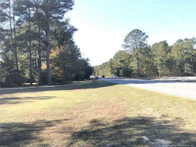 6890 U S 701 Hwy, Elizabethtown, NC 28337 - photo 3