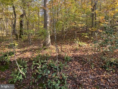 Lot B4 Mountain Ridge Way, Culpeper, VA 22701 - photo 2
