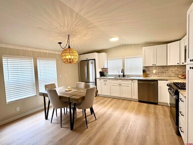 288 Animas View Dr unit 11, Durango, CO 81301 - photo 5