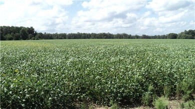 Thirty three acres eight of which is wooded.