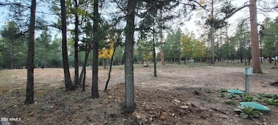 2857 Sparrow Dr unit 22, Happy Jack, AZ 86024 - photo 6