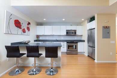 Sierra & Tango Condominiums unit T605, Cambridge, MA 02141 - photo 5