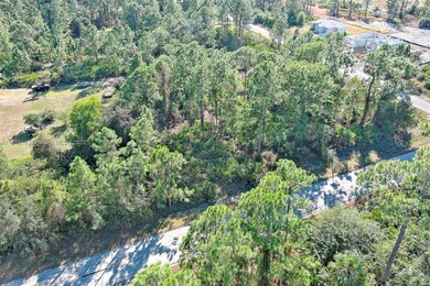 1405 W 14th St, Lehigh Acres, FL 33972 - photo 5