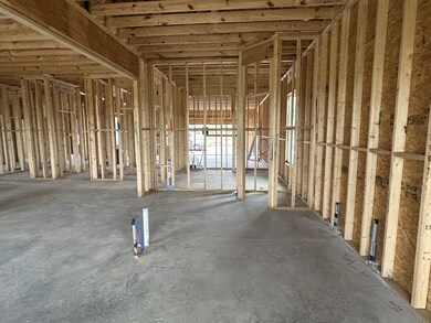 4210 McCown Way, Murfreesboro, TN 37127 - photo 6