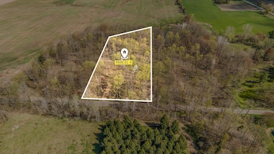 Lot 4