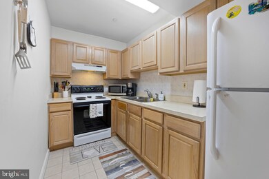 20 S Village Ave unit 2, Exton, PA 19341 - photo 7