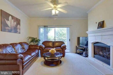 12917 Centre Park Cir unit 215, Herndon, VA 20171 - photo 6