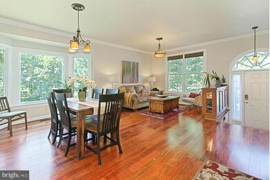 3657 Ransom Place, Alexandria, VA 22306 - photo 6