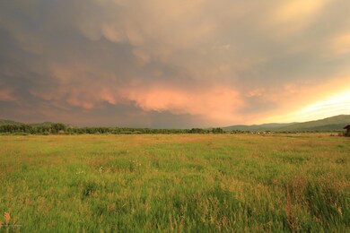 IMG_2622