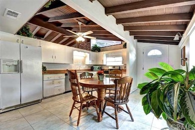 Spacious expanded kitchen and dining area with cat