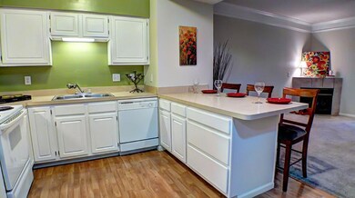 Open Concept