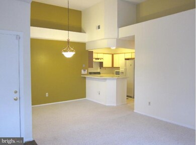 11719 Summerchase Cir unit E, Reston, VA 20194 - photo 3