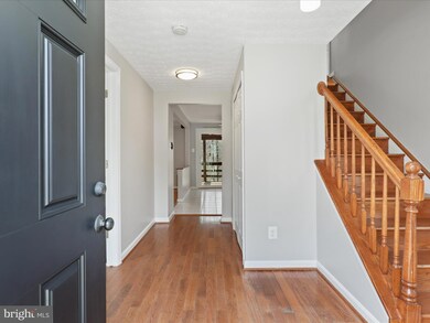 8100 Winding Way Ct, Springfield, VA 22153 - photo 4