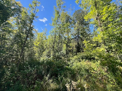 16 Dexter Rd, Garland, ME 04939 - photo 5