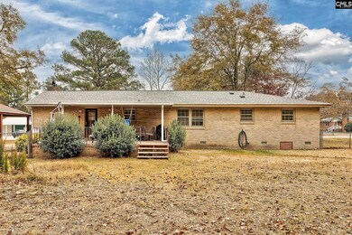 133 Pineview Dr, Swansea, SC 29160 - photo 6