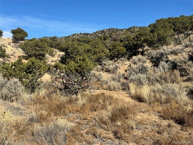lot 2446 Zuni Rd, Sangre de Cri, CO 81133 - photo 2