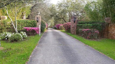 Azalea Lined Concrete Driveway goes to Main House