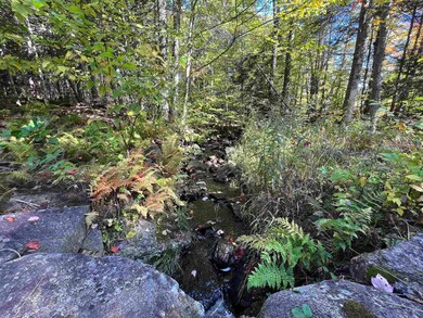 1726 Nh Route 118, Dorchester, NH 03266 - photo 5